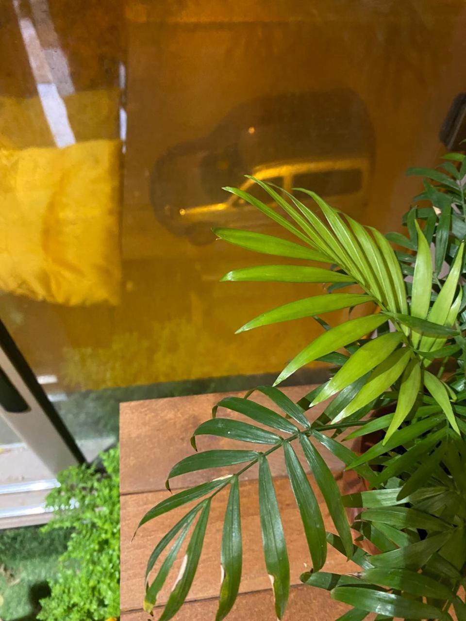 אסאוירה Azur Appartement מראה חיצוני תמונה