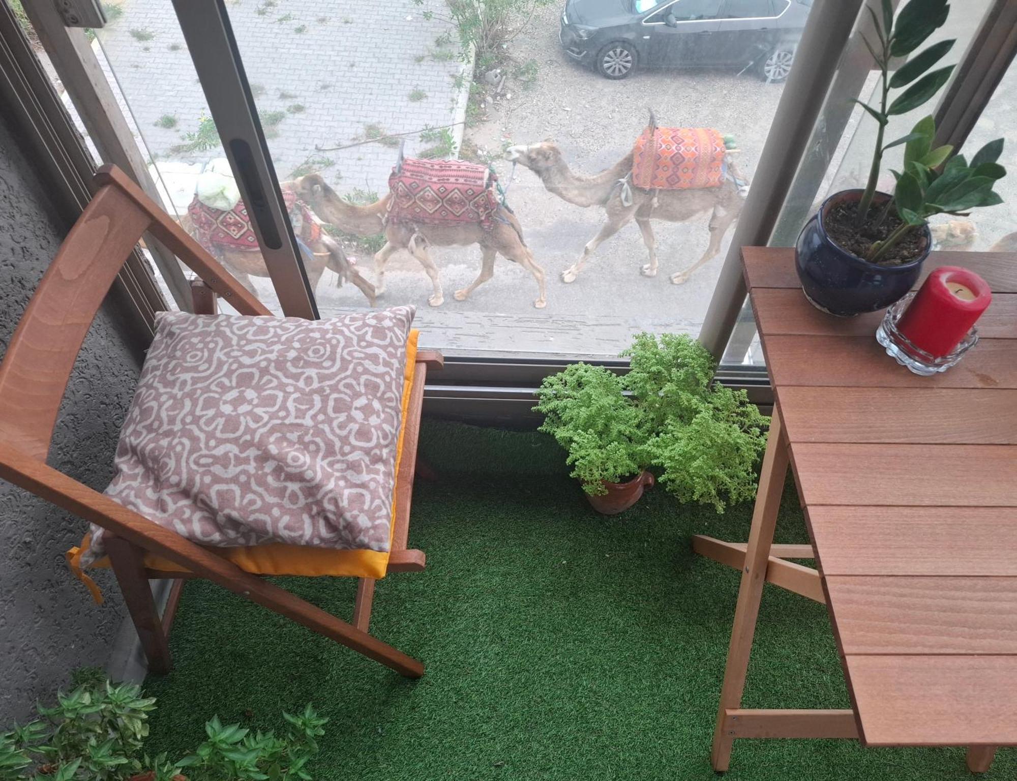 אסאוירה Azur Appartement מראה חיצוני תמונה